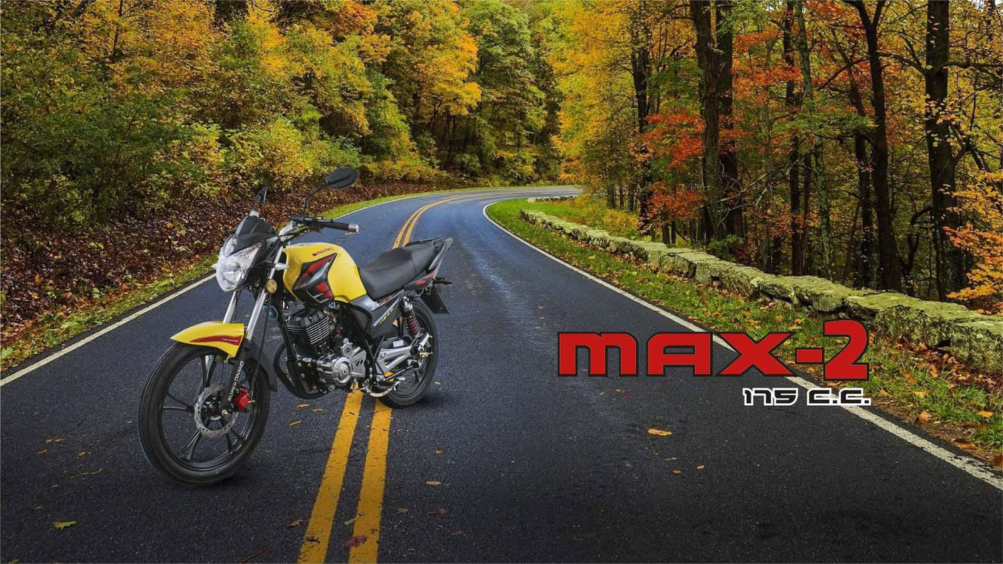 Dinamo Max-2