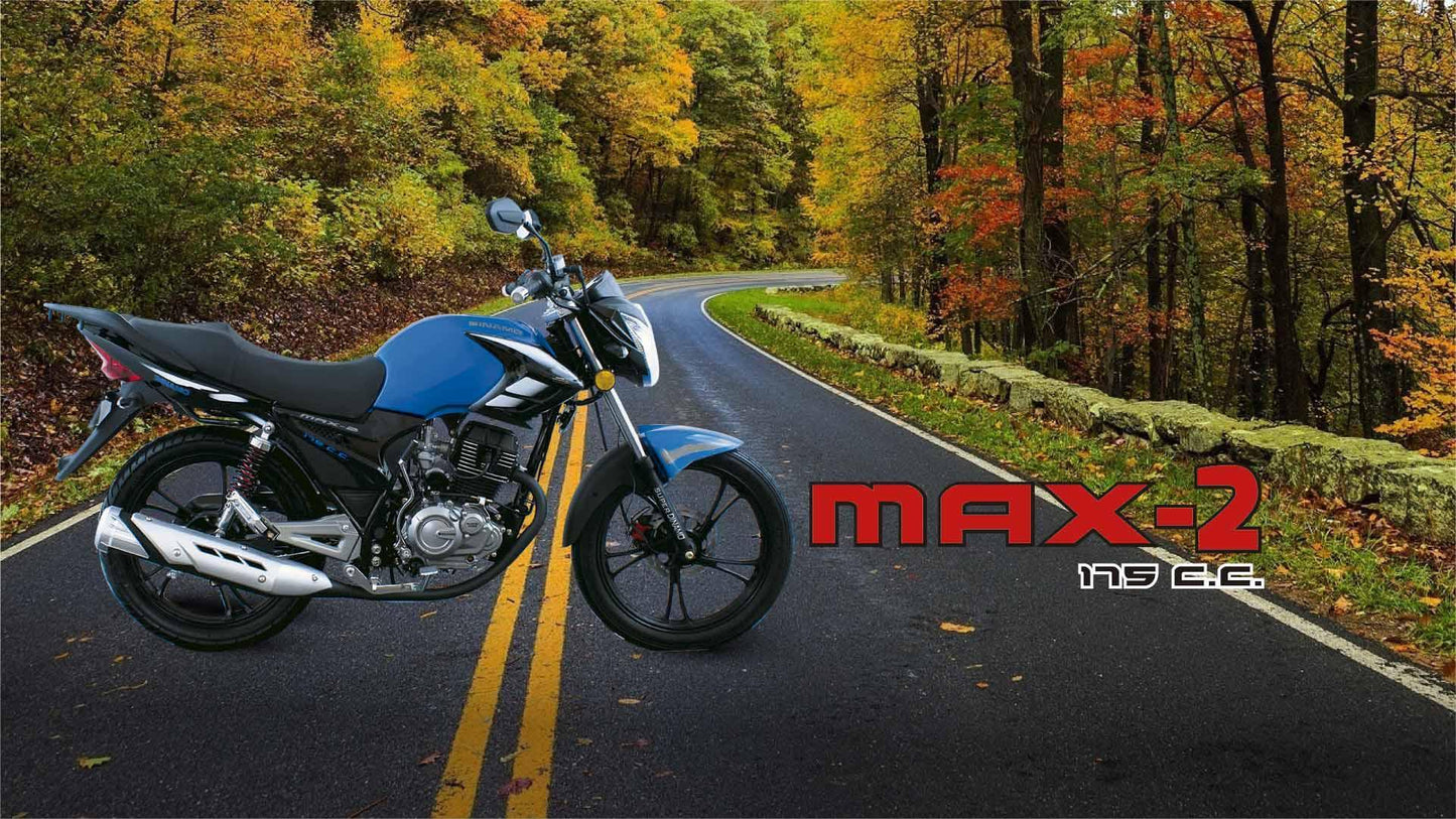 Dinamo Max-2