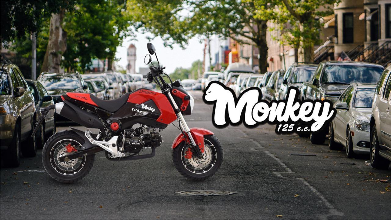 Dinamo Monkey