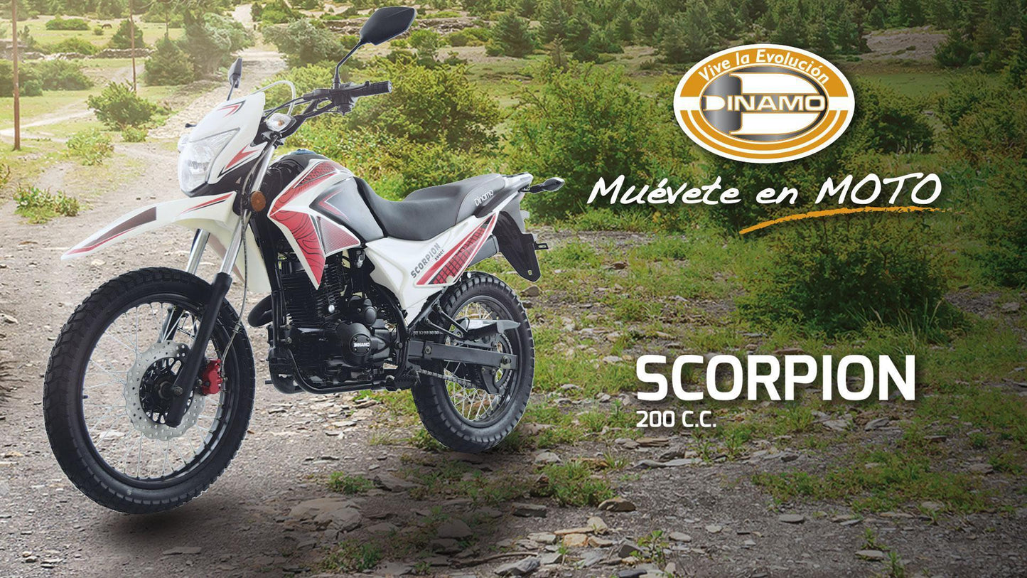 Dinamo Scorpion 200
