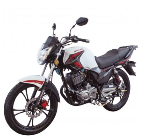 Dinamo Max-2